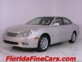Millennium Silver Metallic - ES 300 Photo No. 1