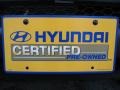 2009 Platinum Sage Hyundai Santa Fe Limited  photo #10