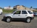 Satin Silver Metallic 2003 Ford Escape XLT V6 4WD Exterior