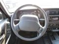 Agate Steering Wheel Photo for 1999 Jeep Cherokee #55619727