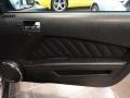 Charcoal Black Door Panel Photo for 2010 Ford Mustang #55622752