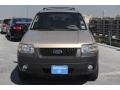 2007 Dune Pearl Metallic Ford Escape XLT V6  photo #2