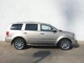 2008 Light Sandstone Metallic Chrysler Aspen Limited 4WD  photo #3