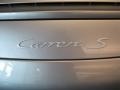 Platinum Silver Metallic - 911 Carrera S Cabriolet Photo No. 18