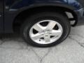 2005 Midnight Blue Pearl Dodge Caravan SXT  photo #12