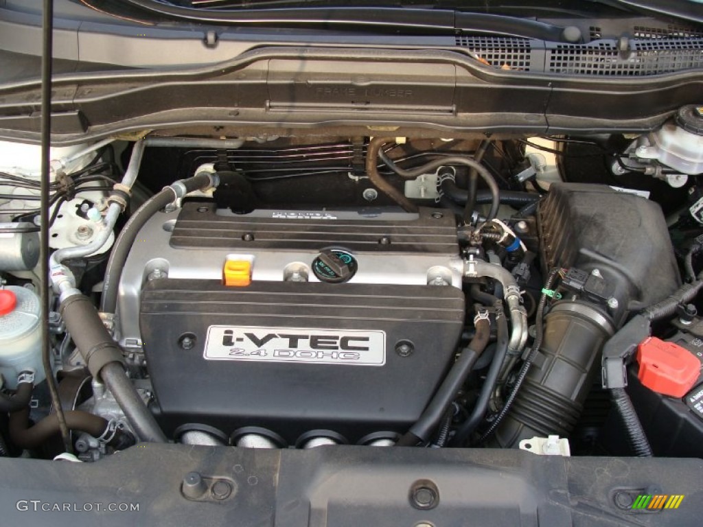 2009 CR-V EX-L 4WD - Taffeta White / Gray photo #4