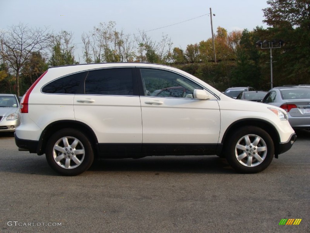 2009 CR-V EX-L 4WD - Taffeta White / Gray photo #8