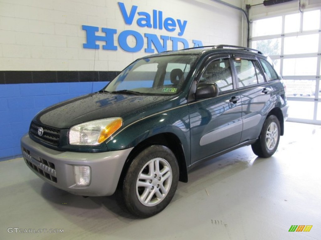 2002 RAV4  - Rainforest Green Pearl / Taupe photo #1