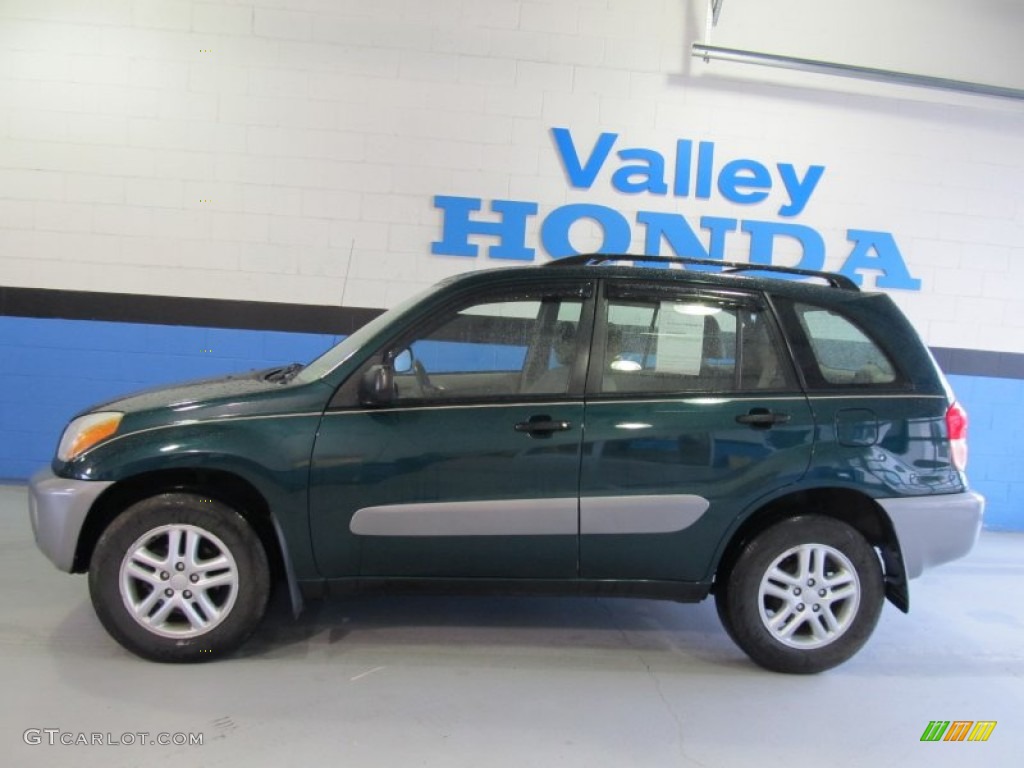 2002 RAV4  - Rainforest Green Pearl / Taupe photo #2