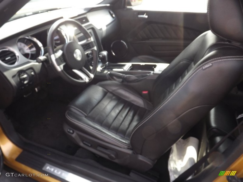 Charcoal Black Interior 2010 Ford Mustang V6 Premium Convertible Photo #55641908