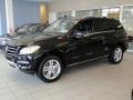 Black - ML 350 4Matic Photo No. 2