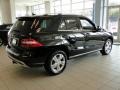 Black - ML 350 4Matic Photo No. 5