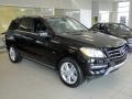 Black - ML 350 4Matic Photo No. 7