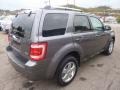 2010 Sterling Grey Metallic Ford Escape Limited V6 4WD  photo #4