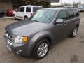 2010 Sterling Grey Metallic Ford Escape Limited V6 4WD  photo #8