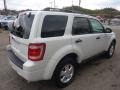 2011 White Suede Ford Escape XLT 4WD  photo #4