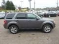 2012 Sterling Gray Metallic Ford Escape XLT 4WD  photo #5