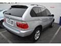 Titanium Silver Metallic - X5 3.0i Photo No. 3