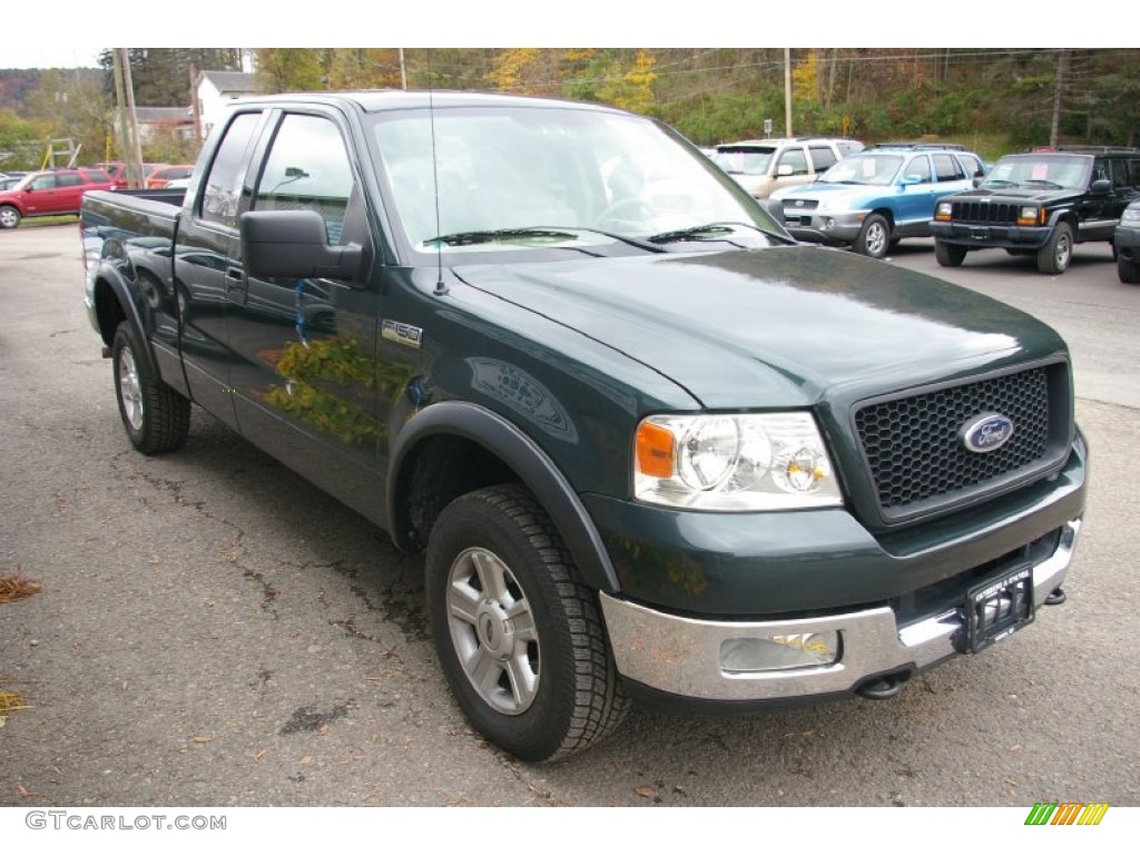 2004 F150 XLT SuperCab 4x4 - Aspen Green Metallic / Tan photo #15