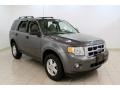 2010 Sterling Grey Metallic Ford Escape XLT  photo #1