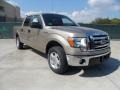 2011 Pale Adobe Metallic Ford F150 XLT SuperCrew  photo #1