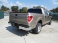 2011 Pale Adobe Metallic Ford F150 XLT SuperCrew  photo #3