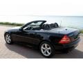 Black - SLK 320 Roadster Photo No. 10