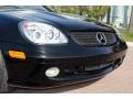 Black - SLK 320 Roadster Photo No. 21
