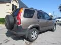 2003 Mojave Mist Metallic Honda CR-V EX 4WD  photo #3