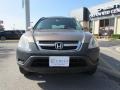 2003 Mojave Mist Metallic Honda CR-V EX 4WD  photo #6