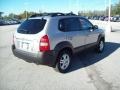 Sahara Silver - Tucson GLS V6 Photo No. 12