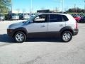 Sahara Silver - Tucson GLS V6 Photo No. 13