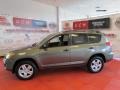 Sandy Beach Metallic - RAV4 4WD Photo No. 4