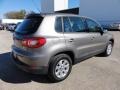 Alpine Grey Metallic - Tiguan S 4Motion Photo No. 8