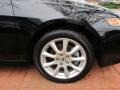 Nighthawk Black Pearl - TSX Sedan Photo No. 11