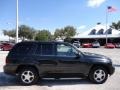 2008 Black Chevrolet TrailBlazer LT  photo #10