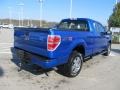 2010 Blue Flame Metallic Ford F150 STX SuperCab 4x4  photo #9