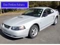 2002 Satin Silver Metallic Ford Mustang V6 Coupe  photo #1