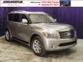 Platinum Graphite - QX 56 4WD Photo No. 1