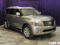 Platinum Graphite - QX 56 4WD Photo No. 3