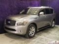 Platinum Graphite - QX 56 4WD Photo No. 4