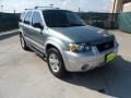 Titanium Green Metallic 2005 Ford Escape Hybrid