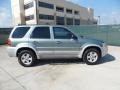 Titanium Green Metallic 2005 Ford Escape Hybrid Exterior