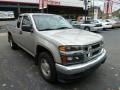 Platinum Silver Metallic - i-Series Truck i-290 S Extended Cab Photo No. 6