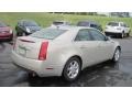 Gold Mist - CTS Sedan Photo No. 5