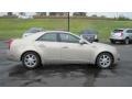 Gold Mist - CTS Sedan Photo No. 6