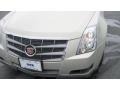 Gold Mist - CTS Sedan Photo No. 9