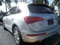 2009 Ice Silver Metallic Audi Q5 3.2 Premium quattro  photo #9