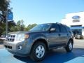 Sterling Gray Metallic - Escape XLT Photo No. 1