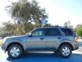 Sterling Gray Metallic - Escape XLT Photo No. 2